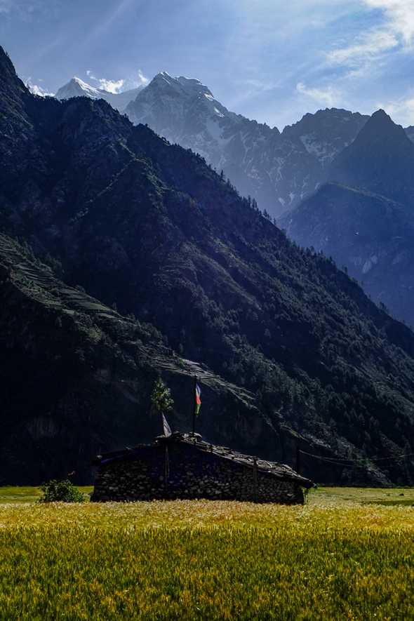 Prok, Nepal