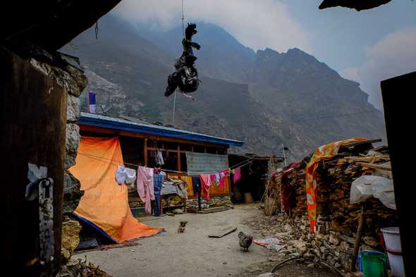 Typical household by the road. Tsum Valley, Nepal