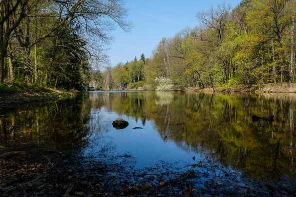 Rhododendron-Park in Kromlau