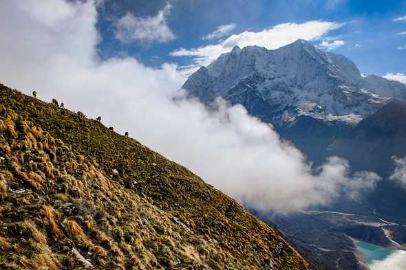 Mountain goats with Samdo peak. Manaslu massif, Nepal