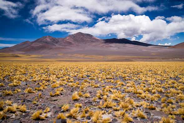 Atacama desert, Argentina