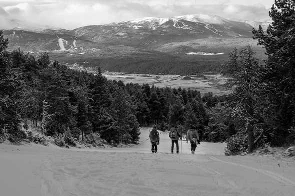 Cerdanya