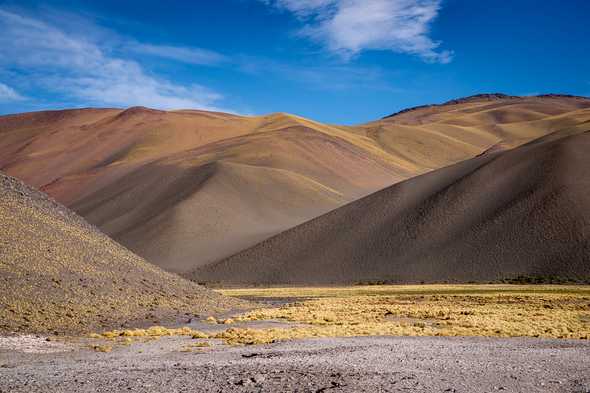 Atacama desert, Argentina