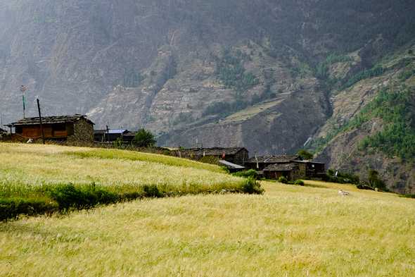 Prok, Nepal