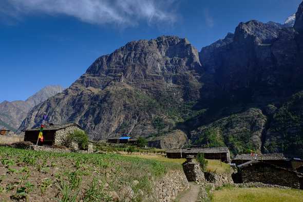 Prok, Nepal