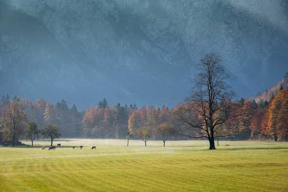 Logarska Dolina, Slovenia