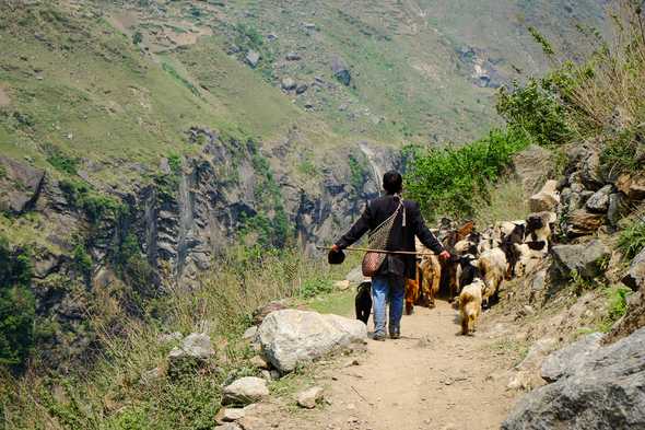 Manaslu trek, Nepal