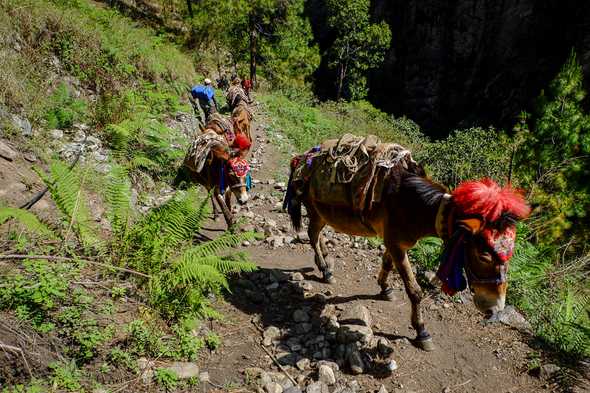 Manaslu trek, Nepal