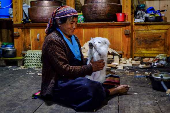 A local dog saying hi. Prok, Nepal